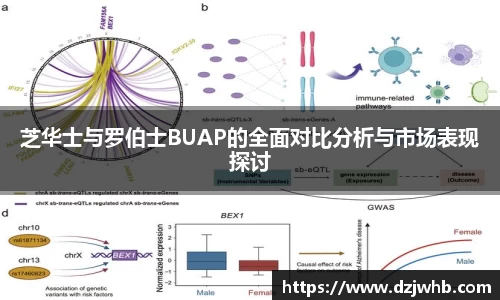 芝华士与罗伯士BUAP的全面对比分析与市场表现探讨